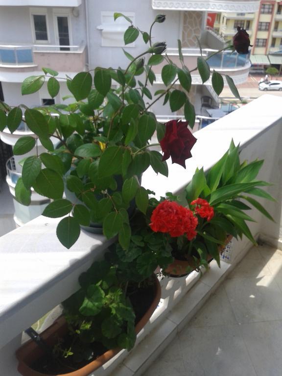 Apartment Aygun Mahmutlar